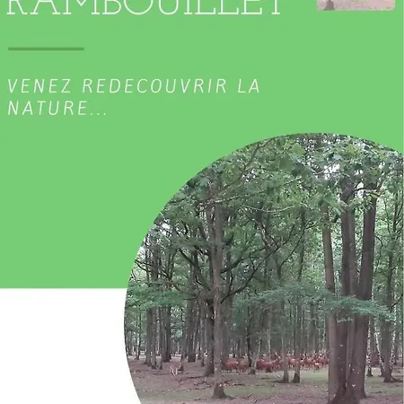 Parenthese En Foret