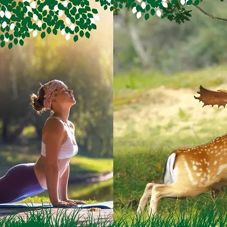 בית הארחה Parenthese En Foret 3*